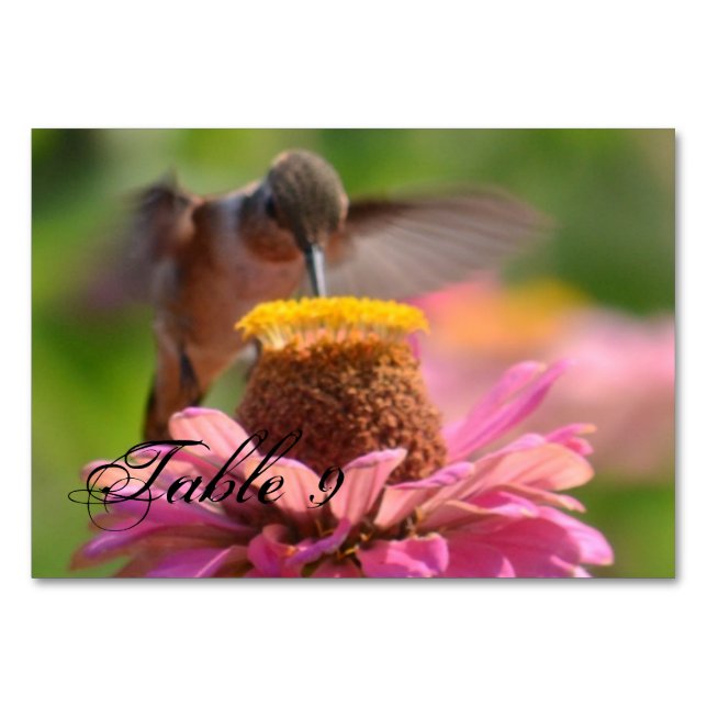 Numeração De Mesa Hummingbird (Frente)