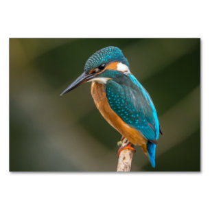 Numeração De Mesa Kingfisher