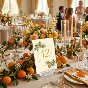 Numeração De Mesa Laranja Cítrico Floral Vibrações de Jardim Italian