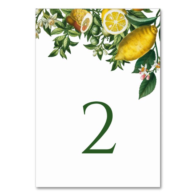 Numeração De Mesa Lemão Amarelo Russo e Folhagem Verde (Frente)