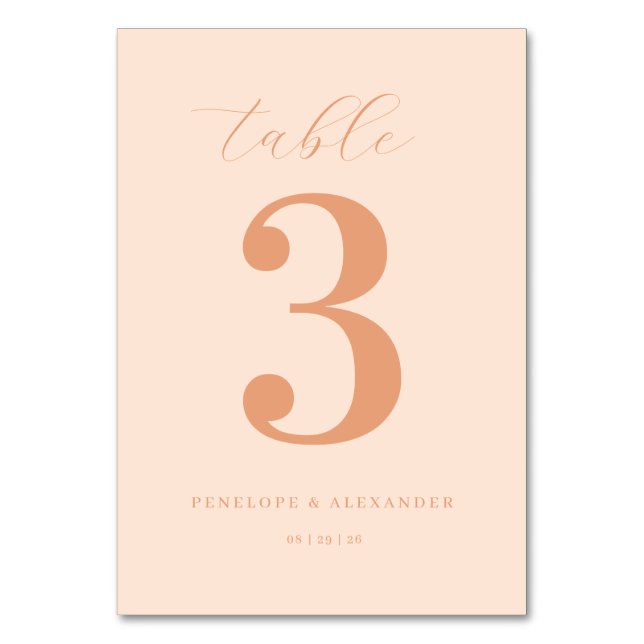 NUMERAÇÃO DE MESA ___LLMGEN___ 13 (Frente)