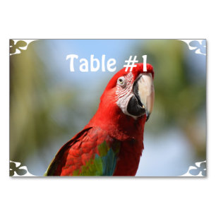 Numeração De Mesa Macaw Vermelho Escarlate
