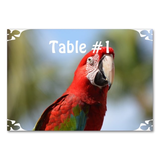 Numeração De Mesa Macaw Vermelho Escarlate (Frente)