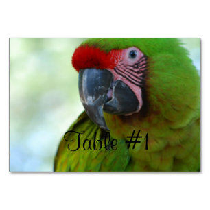 Numeração De Mesa Macaws