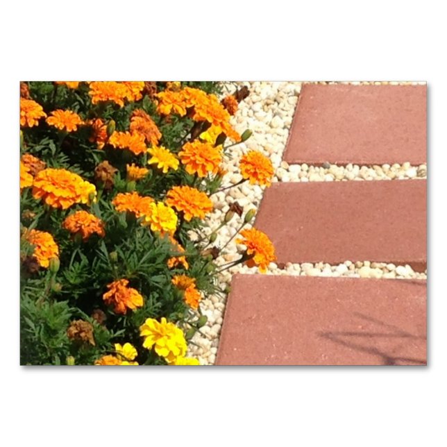 Numeração De Mesa Marigolds Fllowers Pativers Leitura De Placas (Frente)