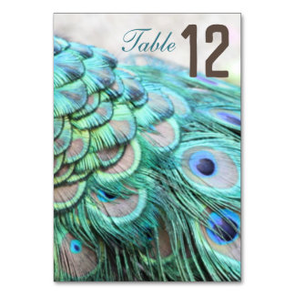 Numeração De Mesa Mesa De Casamento De Penas De Pêssego De Teal Vibr