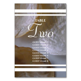 Numeração De Mesa Nomes de Convidado para Amarros de Praia