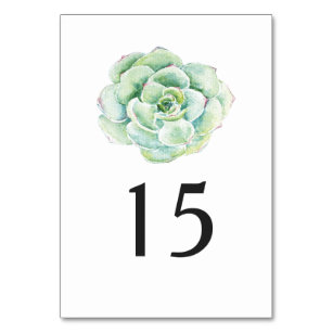 Numeração De Mesa número da mesa do casamento do succulent da