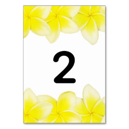 Numeração De Mesa Número da Tabela Casada de Plumeria Frangipani Ama