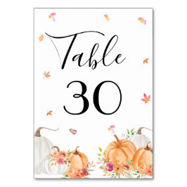Numeração De Mesa Número da Tabela de Casamento de Abóbora de Aquare