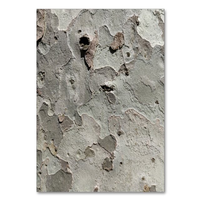 Numeração De Mesa Número da tabela de padrões de latido de árvore (Frente)