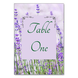 Numeração De Mesa Números de Tabela de Casamento de Campos de lavand