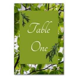 Numeração De Mesa Números de Tabela de Casamento de Folhas Verdes