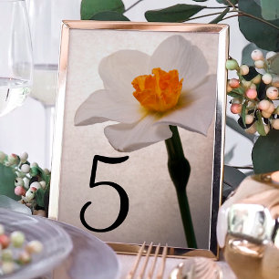 Numeração De Mesa Números de Tabela de Flor Daffodil Primavera bran
