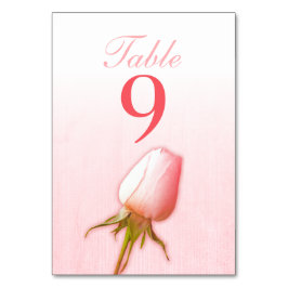 Numeração De Mesa Números de tabela de rosa bud cor-de-rosa casado