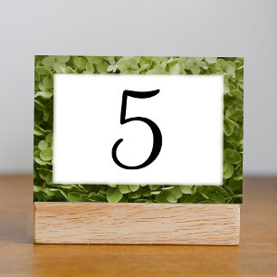 Numeração De Mesa Números de Tabela Floral da Annabelle Verde Hydran