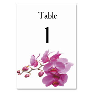 Numeração De Mesa O casamento barato das orquídeas empacota jogos