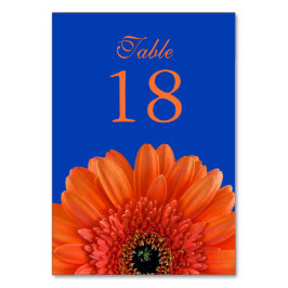 Numeração De Mesa Orange Gerbera Daisy Royal Blue Wedding