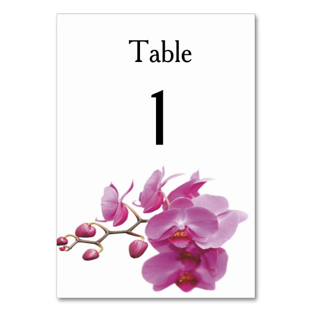 Numeração De Mesa Orquídeas Pacotes De Casamento Baratos Conjuntos (Frente)