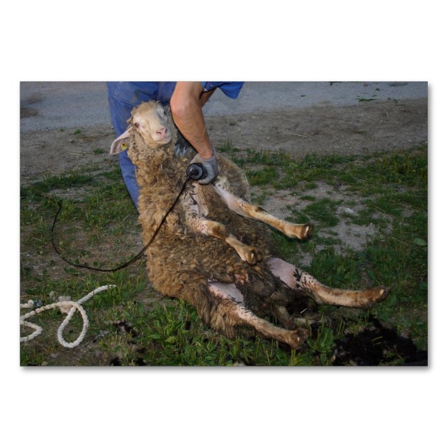 Numeração De Mesa Ouvintes (Frente)