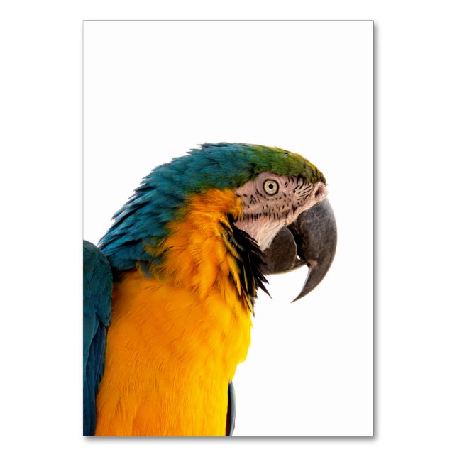 Numeração De Mesa Parrot Post-it Notes (Frente)