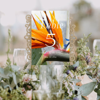 Numeração De Mesa Pássaro Tropical do Casamento Floral do Paraíso