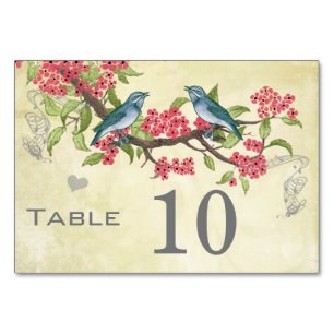 Numeração De Mesa Pássaros de Amor Vintage Rosa Vermelho Azul Turque
