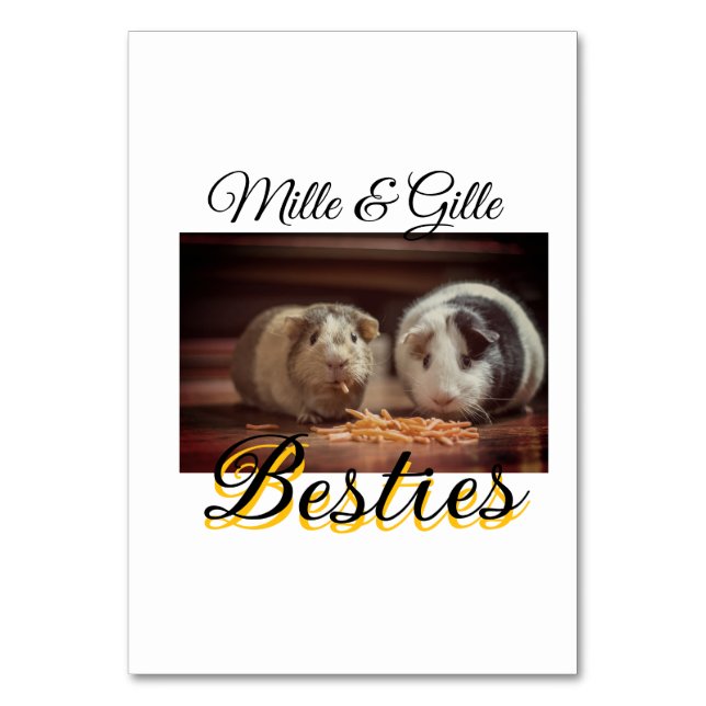 Numeração De Mesa Pet Frities adiciona nome e foto animal amor (Frente)