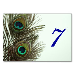 Numeração De Mesa Placa de Mesa de pena de peacock