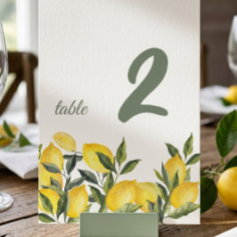 Numeração De Mesa Placa de Número de Mesa Personalizada Limão Itália