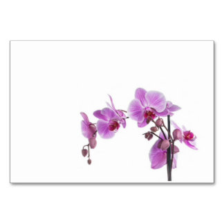 Numeração De Mesa Placa mesa