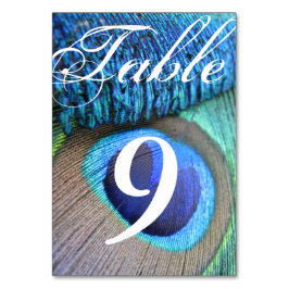 Numeração De Mesa Placas de números da tabela de penas Pavock