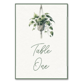 Numeração De Mesa Pothos: Mínimo de Planta Botânica Boho