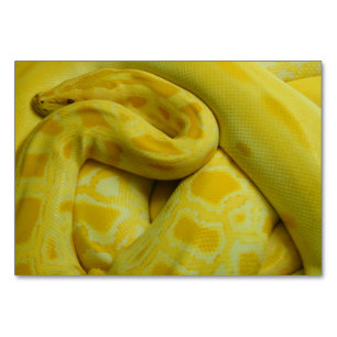 Numeração De Mesa Python Amarelo birmanês