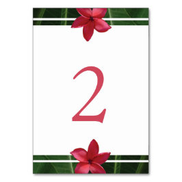 Numeração De Mesa Red Frangipani Plumeria Wedding