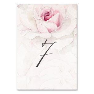 Numeração De Mesa Rosa Rosa Rosa-Rosa-Rosa-Vidraça Floral N.o 7 Cas