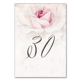 Numeração De Mesa Rosa Rosa-Rosa-Rosa-Rosa Watercolor Floral N.o 30 