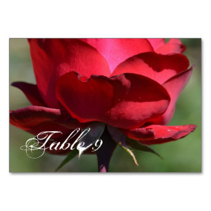 Numeração De Mesa Rosa vermelha