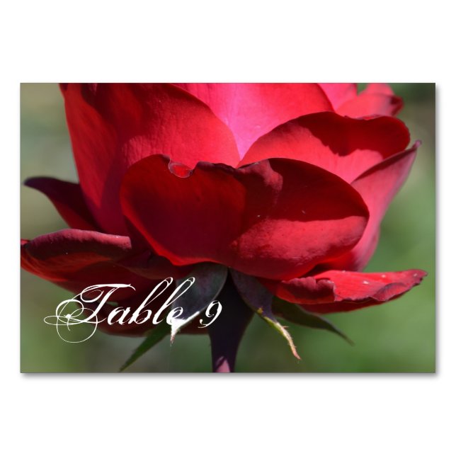 Numeração De Mesa Rosa vermelha (Frente)