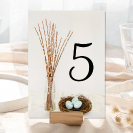 Numeração De Mesa Rustic Bird Nest Eggs and Pussy Willows Wedding