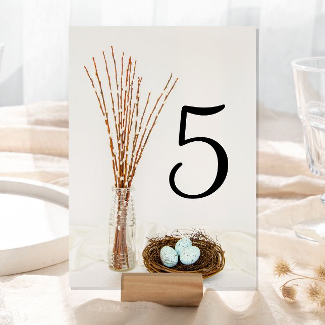Numeração De Mesa Rustic Bird Nest Eggs and Pussy Willows Wedding (Criador carregado)