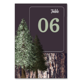 Numeração De Mesa Sequoias e Latidos, Casamento Russo