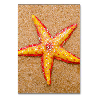 Numeração De Mesa Starfish na Areia