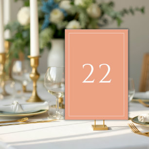 Numeração De Mesa Terracota Casamento Minimalista Elegante