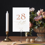 Numeração De Mesa Terracotta Dusty Orange Elegant Boho Dourado Casam<br><div class="desc">Este cartão faz parte de uma coleção grande - clique abaixo ou pergunte-me informações</div>