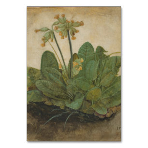 Numeração De Mesa Tuft de Cowslips por Albrecht Durer
