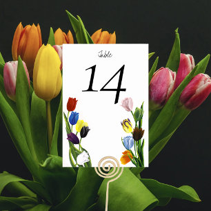 Numeração De Mesa Tulipa Minimalista Arco-íris Vibrante LGBTQ+