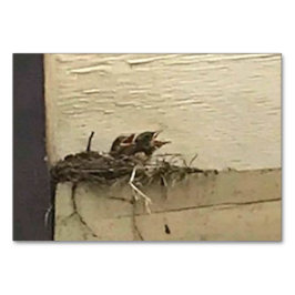 Numeração De Mesa Verbos Disparando Pássaros Lendo Placas de Lança p