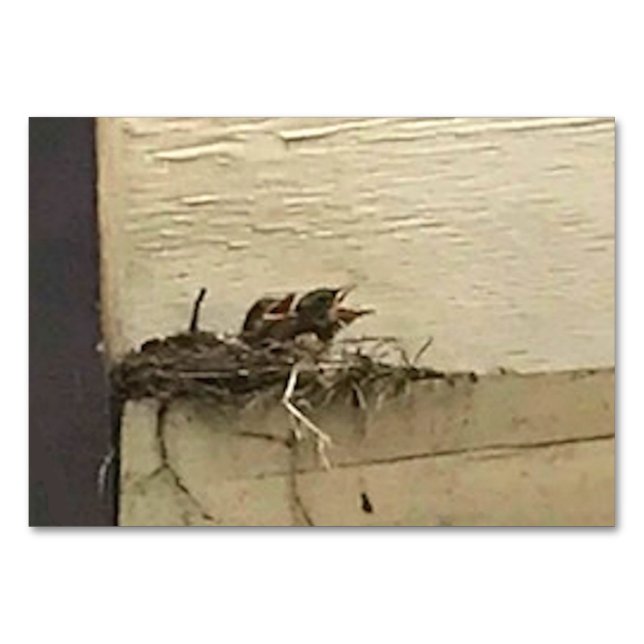 Numeração De Mesa Verbos Disparando Pássaros Lendo Placas de Lança p (Frente)