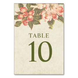 Numeração De Mesa Vintage Apple Blossom Casamento